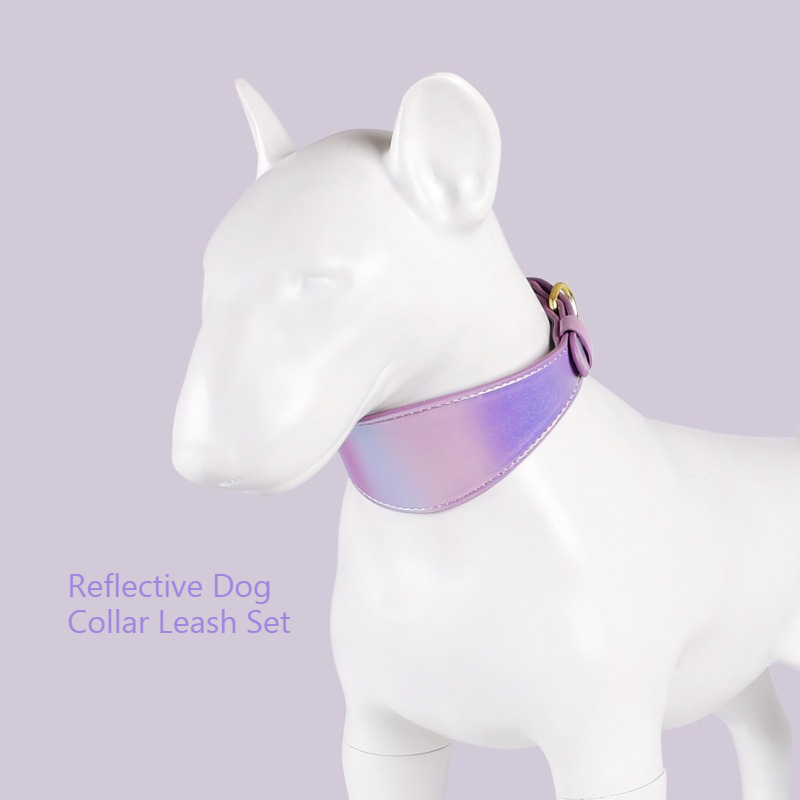 반사 가죽 개 목줄 세트 야간 안전 산책용 내구성 있는 - Headcollar Rope Set 리뷰 및 가격