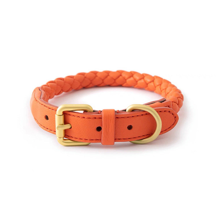 조절 가능한 가죽 꼬임형 반려동물 목줄 및 리드줄 세트 - Headcollar Rope Set 리뷰 및 가격